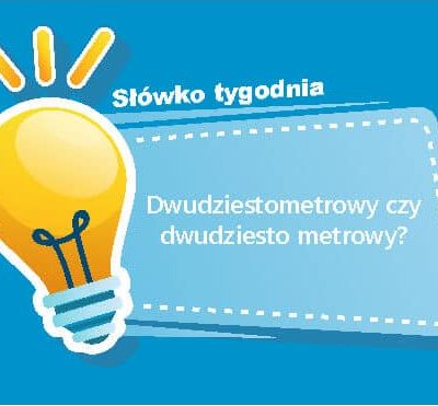 Dwudziestometrowy czy dwudziesto metrowy