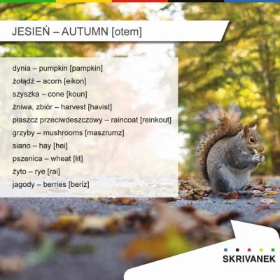 Jesienne słówka po angielsku