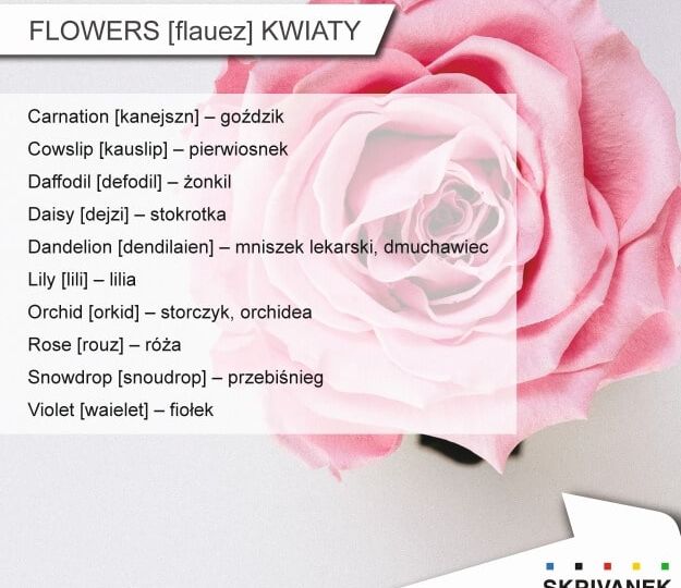 Kwiaty po angielsku