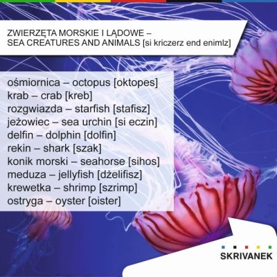 Zwierzęta morskie po angielsku