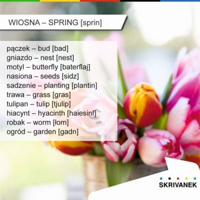 wiosna po angielsku