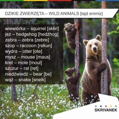 dzikie zwierzęta po angielsku