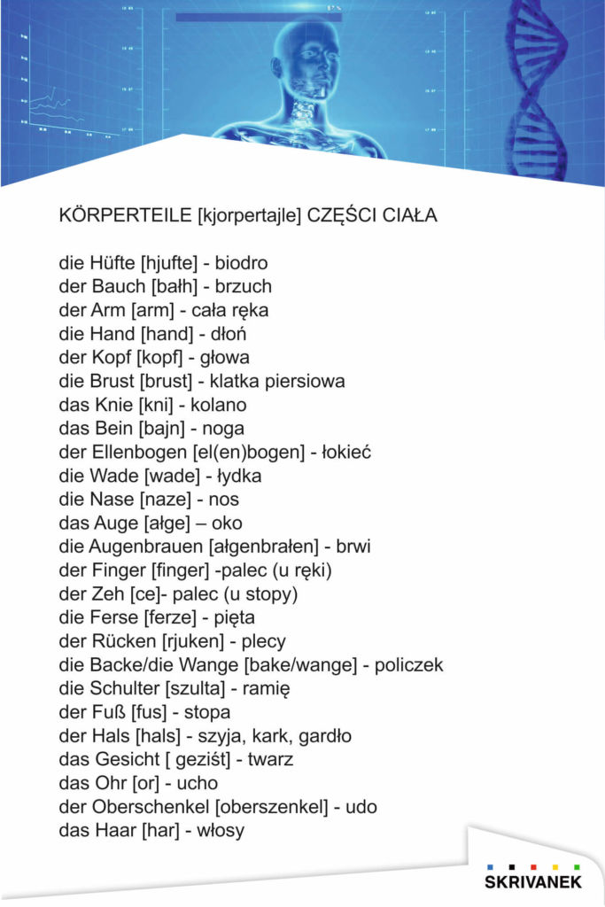 Sprawdzian Niemiecki 2 Lo Choroby Czesci Ciala skrivanek.pl