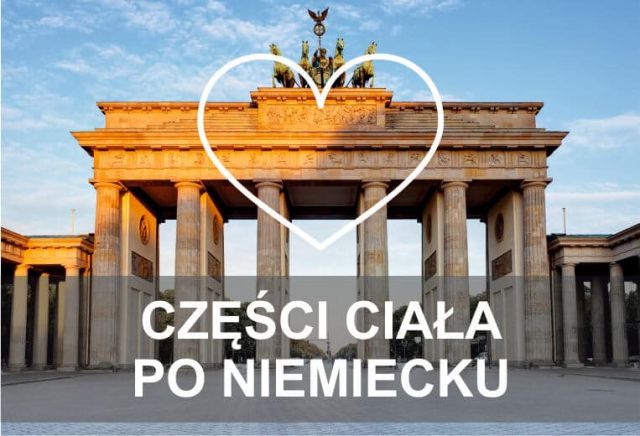 części ciała po niemiecku2