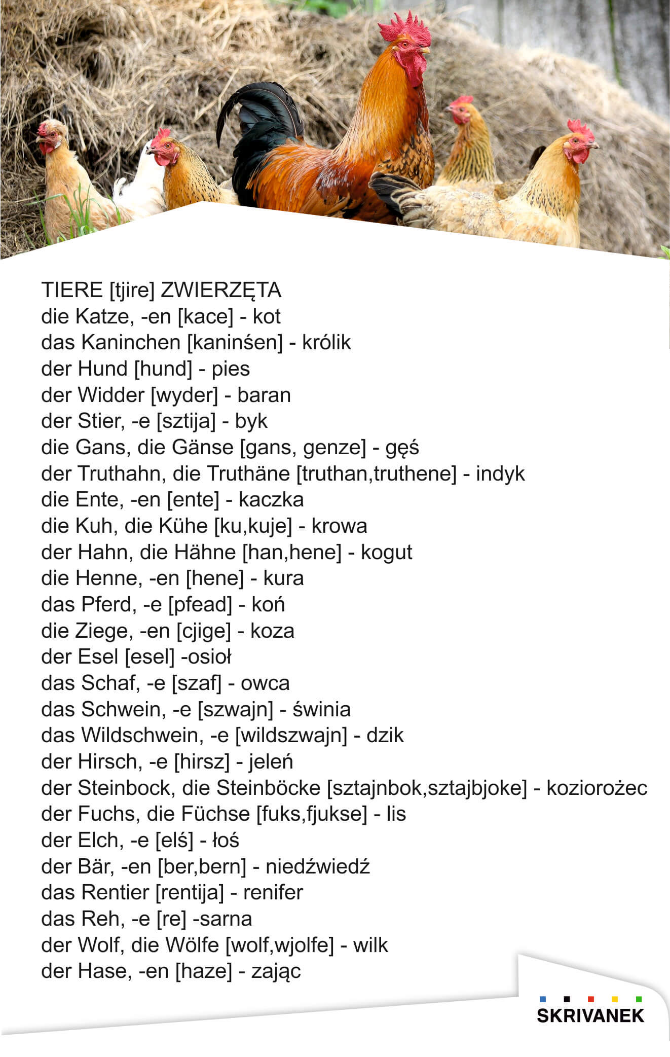 zwierzęta po niemiecku
