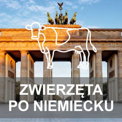 zwierzęta po niemiecku