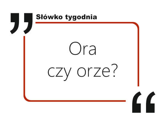 Ora czy orze