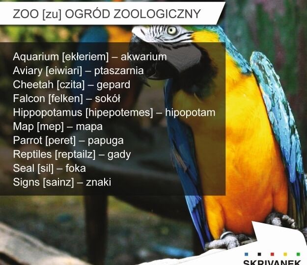 zoo po angielsku