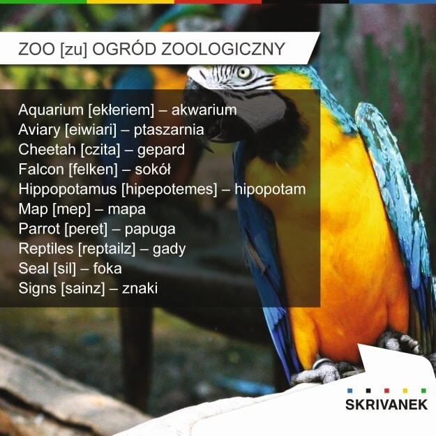 zoo po angielsku