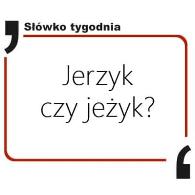 jerzyk czy jeżyk