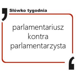 parlamentariusz kontra parlamentarzysta