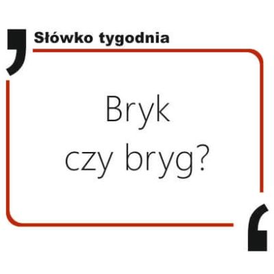 Bryk czy bryg