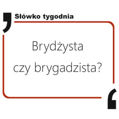 Brydżysta czy brygadzista