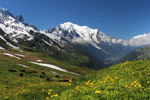Najwyższy szczyt Francji – Mont Blanc