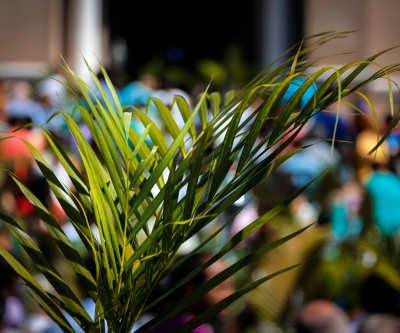 Palmowa Niedziela – tradycja wykonywania palm