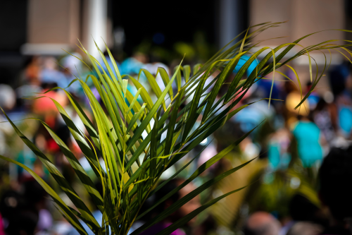 Palmowa Niedziela – tradycja wykonywania palm