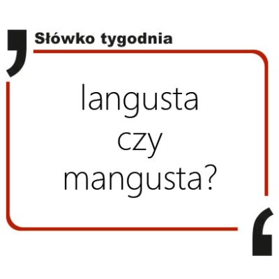 Langusta czy mangusta