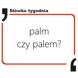 Palm czy palem