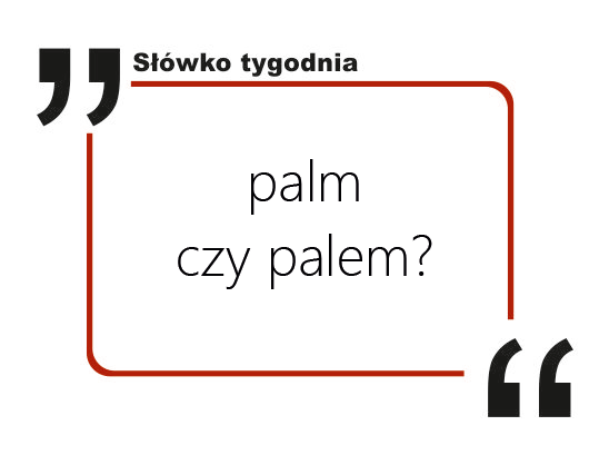 Palm czy palem