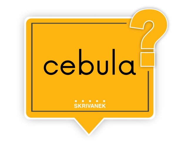 cebula