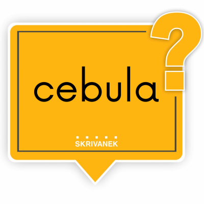 cebula