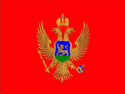 montenegrin translation