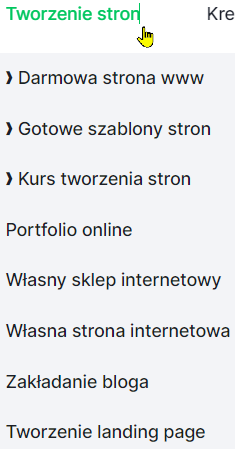 Okno opcji tworzenia stron - zrzut ekranu