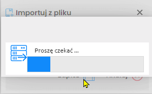 Pasek importu - zrzut