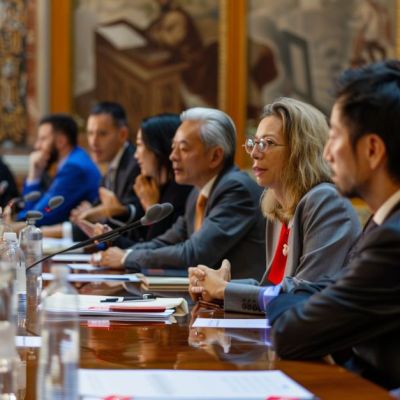 Language in diplomacy, language diplomacy