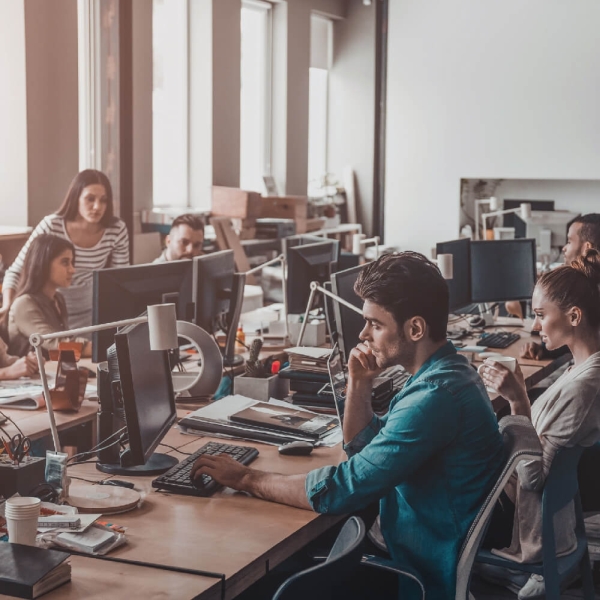 skrivanek tłumaczenia skrivanek tłumaczenia